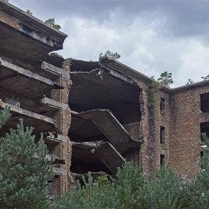 Ruine auf Rügen...... Horst Tripp